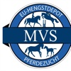 MVS Pferdezucht