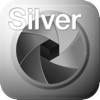 SILVER projects professional