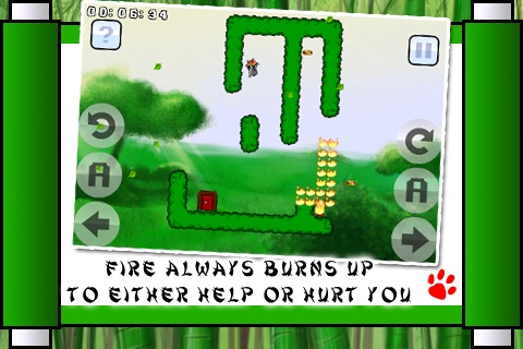 iPhone Screenshot 3
