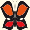 Hit Butterfly