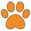 FourClaws - Find and Adopt a Cat today!
