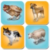 Animal Memory Games - Free Brain Games For Kids memory games 