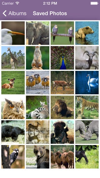 iPhone Screenshot 3