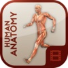 Video Training for Human Anatomy