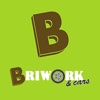 BriWork&Cars