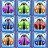 A Dotted Ladybugs Mania