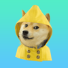 no app image
