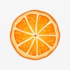 Garden Juice - Fruits and Vegetables