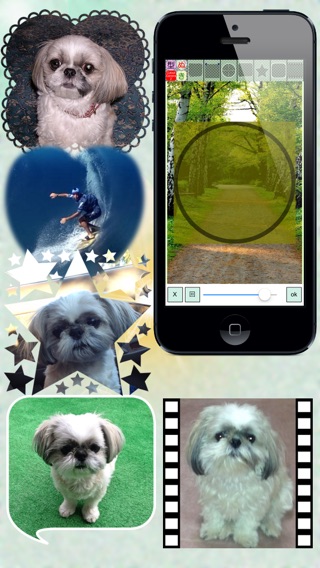 iPhone Screenshot 3