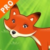Tiere des Waldes: Lernspiel für Kinder im Alter von 2-5. Spielen und lernen Sie mit Fuchs, Bär, Schildkröte, Igel, Eichhörnchen, Insekten, Baum, Blumen und Natur. Puzzles, Rätsel und Spiele! Kostenlos, neu, Bildung!