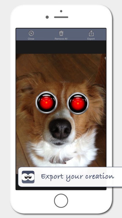 googly eyes picture overlay by royal dutch apps