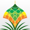 النشرة السياحية
