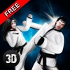 Karate Do Fighting Tiger 3D Games Fighting Tiger Earn Points