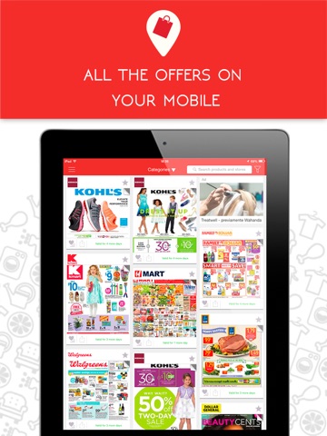 iPad Screenshot 1