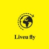 Liveufly rental cars 