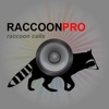 Raccoon Calls - Raccoon Hunting -Raccoon Sounds HD raccoon sounds 