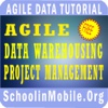 Agile Data WareHousing Project Management Tutorial Free types of warehousing 