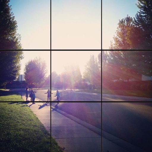 insta profile grid insta profile grid