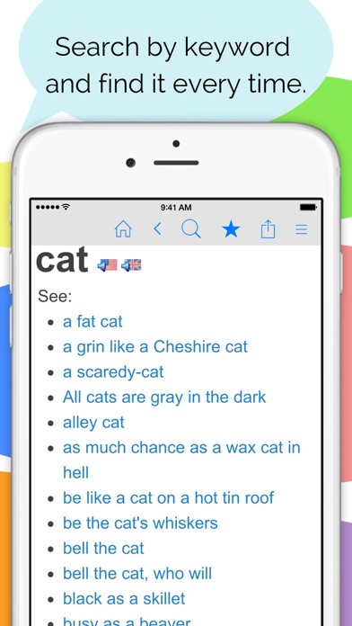 Idioms and Slang Dict... screenshot1