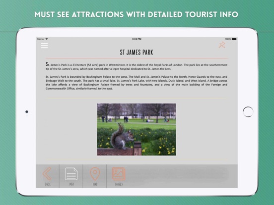 iPad Screenshot 3