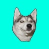 可愛的動物模特貼紙包為iMessage