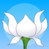 Lotus Bud Meditation Timer