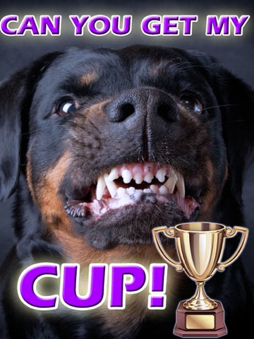 Скриншот из Ace Dog Breed Trivia - Free Fun Animal Quiz