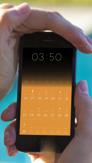 iPhone Screenshot 2