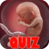 Pregnancy Test Quiz - Utimate Trivia Guide For Expecting Mothers pregnancy mothers 