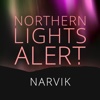 Northern Lights Alert Narvik iceland northern lights 