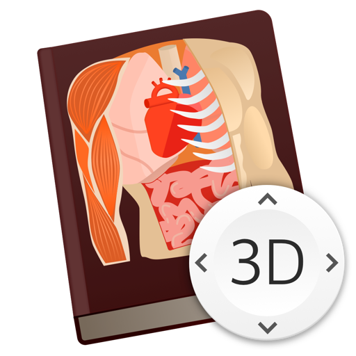 Anatomy Lesson 3D Prof