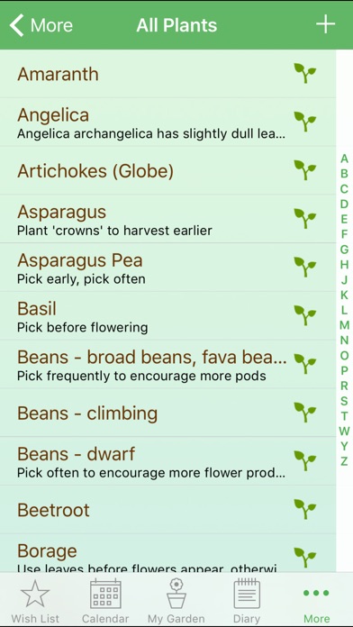 iPhone Screenshot 3