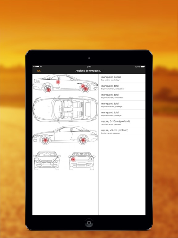 iPad schermafdruk 5
