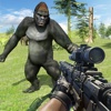 Gorilla Hunting Gear ghost hunting gear 