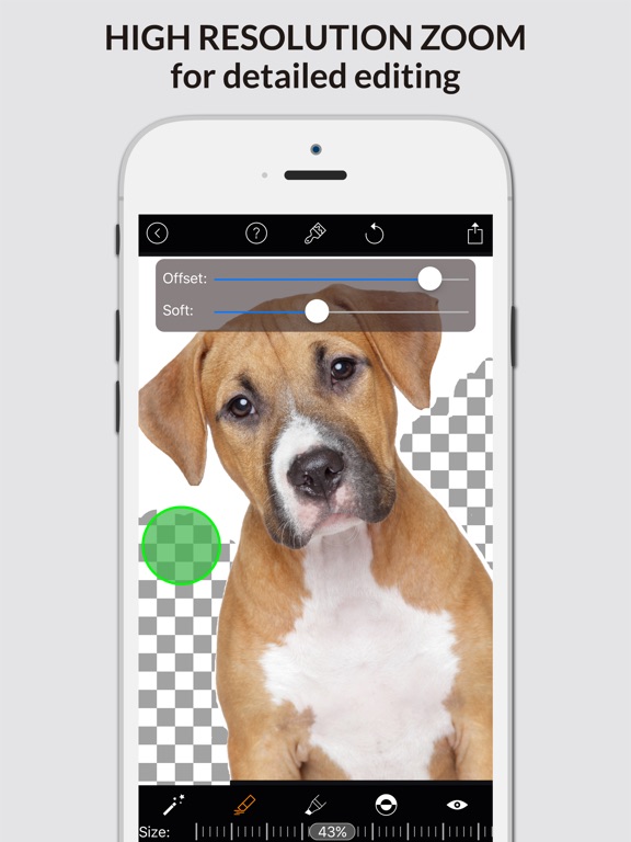Screenshots of Magic Eraser - Remove Photo Background & Create Transparent PNG for iPad