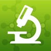 mLab