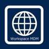 Workspace MDM Browser workspace log in 