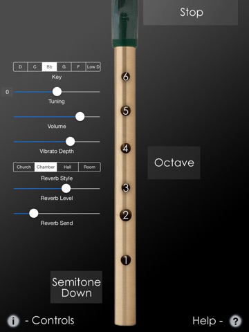 iPad Screenshot 2