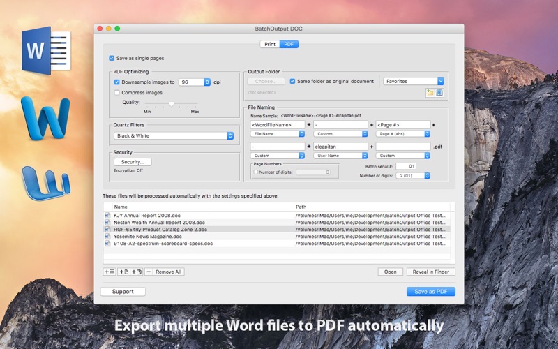 BatchOutput_DOC_for_Word.app caprure 1 1_BatchOutput_DOC_for_Word.jpg
