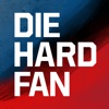 Diehard Fan - Paint your game face