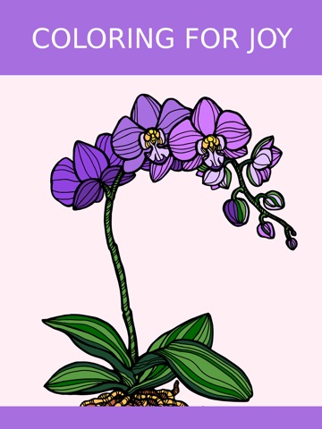Screenshots of Floral Coloring Book For Adults: Best Free Adult Coloring Therapy Pages - Anxiety Stress Relief Balance Relaxation for iPad