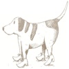 Frau Schober