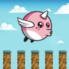 Brave Birds Running: Free Game for Puzzle & Fun & Leisure