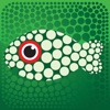 LotoMoto
