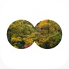 Cnature