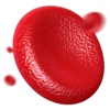 Blood Cells 3D