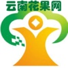 云南花果网