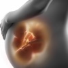 Fetal Development Week by Week: Guide and Tutorial nurses week 