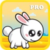 Adventure Game: Running Bad To Keep Going Pro