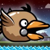 Tappy Sparrow - PRO